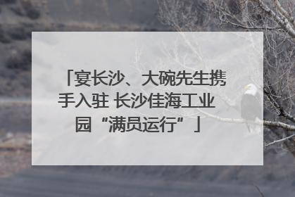 宴长沙、大碗先生携手入驻 长沙佳海工业园“满员运行”