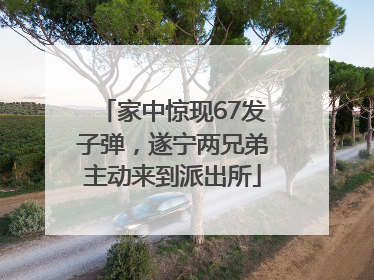 家中惊现67发子弹，遂宁两兄弟主动来到派出所