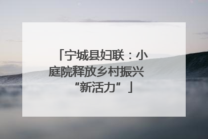 宁城县妇联：小庭院释放乡村振兴“新活力”