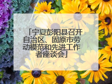宁夏彭阳县召开自治区、固原市劳动模范和先进工作者座谈会