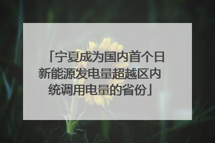 宁夏成为国内首个日新能源发电量超越区内统调用电量的省份