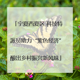 宁夏西夏区 科技特派员助力“紫色经济”酿出乡村振兴新风味