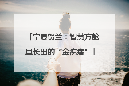宁夏贺兰：智慧方舱里长出的“金疙瘩”