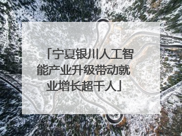 宁夏银川人工智能产业升级带动就业增长超千人