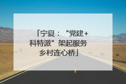 宁夏：“党建+科特派”架起服务乡村连心桥
