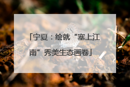 宁夏：绘就“塞上江南”秀美生态画卷