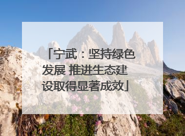 宁武：坚持绿色发展 推进生态建设取得显著成效