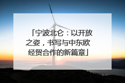 宁波北仑：以开放之姿，书写与中东欧经贸合作的新篇章