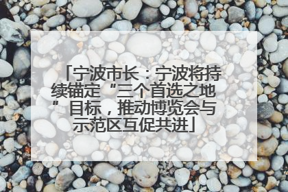 宁波市长：宁波将持续锚定“三个首选之地”目标，推动博览会与示范区互促共进