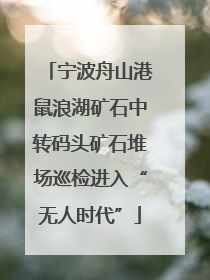 宁波舟山港鼠浪湖矿石中转码头矿石堆场巡检进入“无人时代”