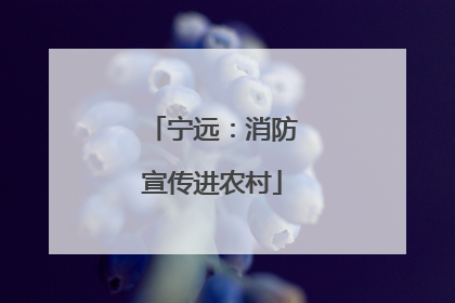 宁远：消防宣传进农村
