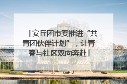 安丘团市委推进“共青团伙伴计划”，让青春与社区双向奔赴