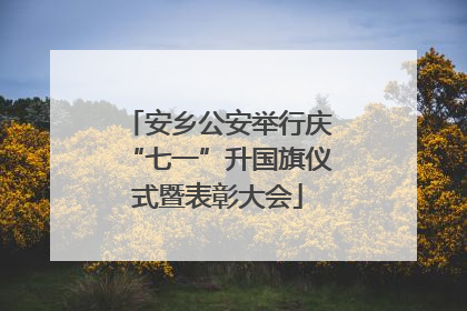 安乡公安举行庆“七一”升国旗仪式暨表彰大会
