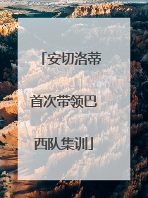 安切洛蒂首次带领巴西队集训