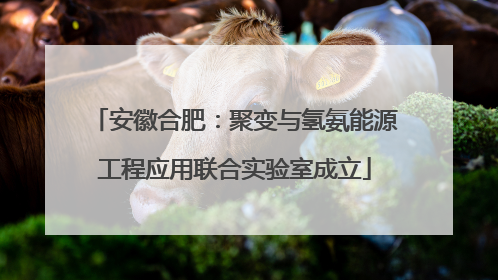 安徽合肥：聚变与氢氨能源工程应用联合实验室成立