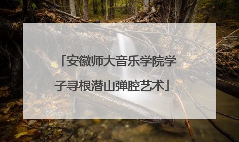 安徽师大音乐学院学子寻根潜山弹腔艺术