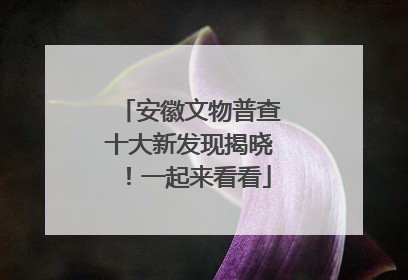 安徽文物普查十大新发现揭晓！一起来看看