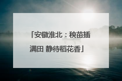 安徽淮北：秧苗插满田 静待稻花香