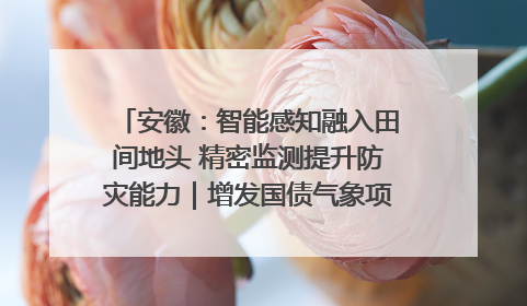 安徽：智能感知融入田间地头 精密监测提升防灾能力｜增发国债气象项目落地见效系列报道
