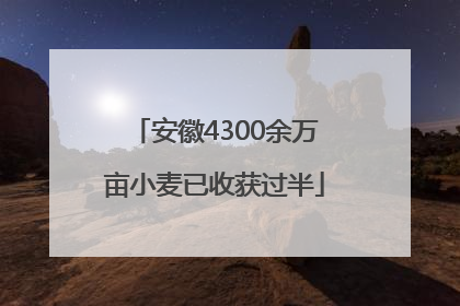 安徽4300余万亩小麦已收获过半