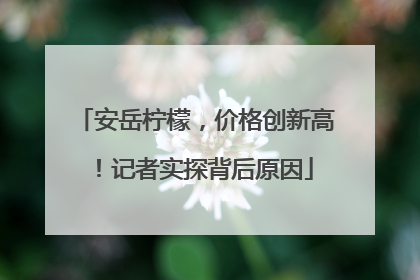 安岳柠檬，价格创新高！记者实探背后原因