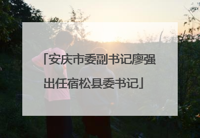 安庆市委副书记廖强出任宿松县委书记