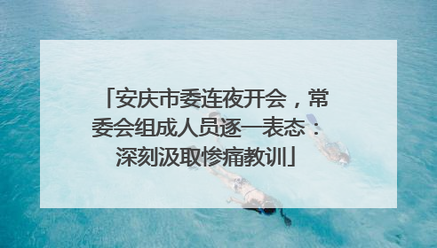 安庆市委连夜开会，常委会组成人员逐一表态：深刻汲取惨痛教训