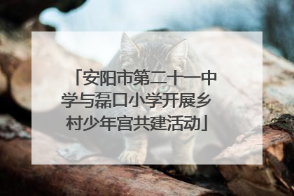 安阳市第二十一中学与磊口小学开展乡村少年宫共建活动