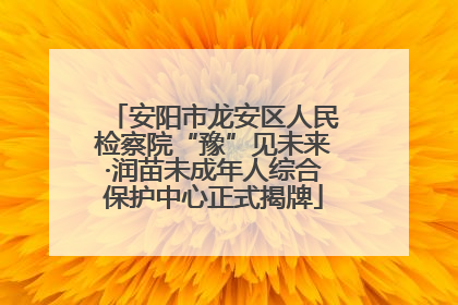 安阳市龙安区人民检察院“豫”见未来·润苗未成年人综合保护中心正式揭牌