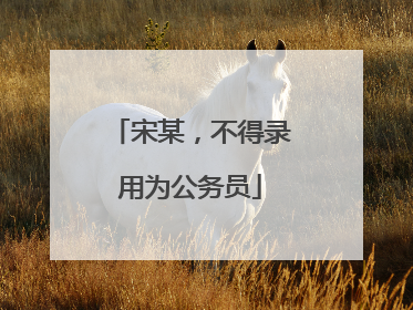 宋某，不得录用为公务员