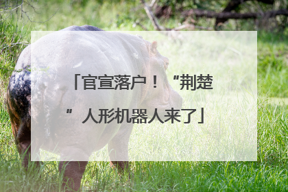 官宣落户！“荆楚”人形机器人来了