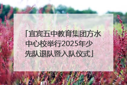 宜宾五中教育集团方水中心校举行2025年少先队退队暨入队仪式