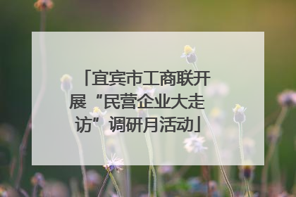 宜宾市工商联开展“民营企业大走访”调研月活动