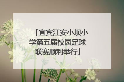 宜宾江安小坝小学第五届校园足球联赛顺利举行