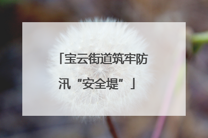 宝云街道筑牢防汛“安全堤”