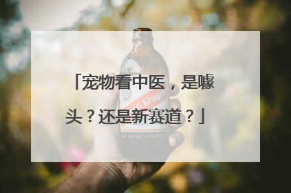 宠物看中医，是噱头？还是新赛道？