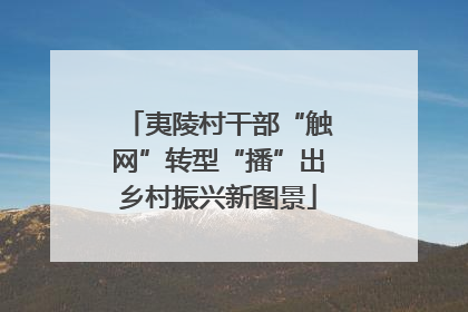 夷陵村干部“触网”转型“播”出乡村振兴新图景