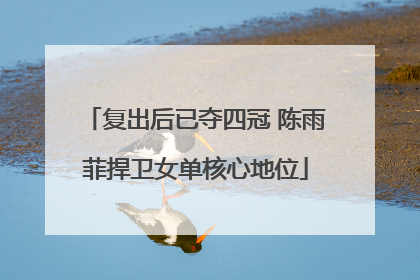 复出后已夺四冠 陈雨菲捍卫女单核心地位