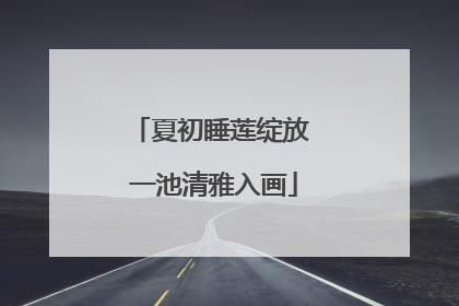 夏初睡莲绽放 一池清雅入画