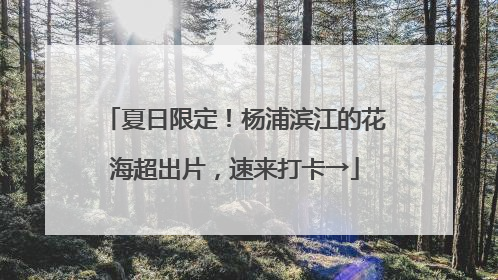 夏日限定！杨浦滨江的花海超出片，速来打卡→