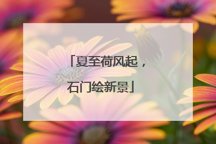 夏至荷风起，石门绘新景