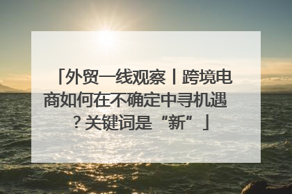 外贸一线观察丨跨境电商如何在不确定中寻机遇？关键词是“新”