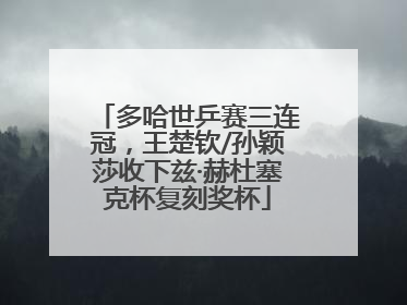 多哈世乒赛三连冠，王楚钦/孙颖莎收下兹·赫杜塞克杯复刻奖杯