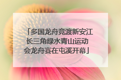 多国龙舟竞渡新安江 长三角绿水青山运动会龙舟赛在屯溪开幕