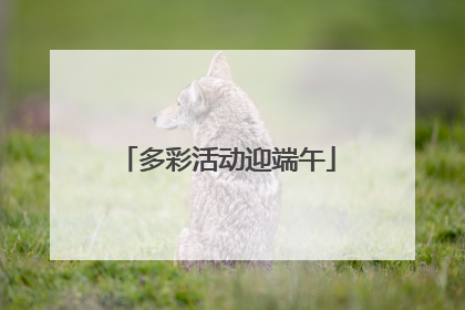 多彩活动迎端午