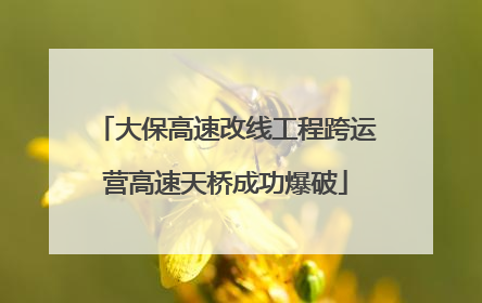 大保高速改线工程跨运营高速天桥成功爆破