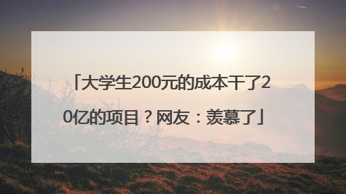 大学生200元的成本干了20亿的项目？网友：羡慕了