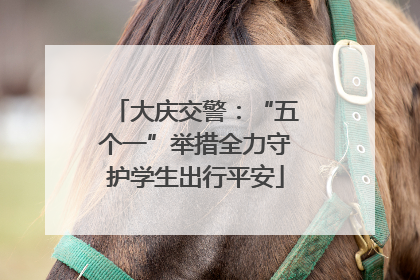 大庆交警：“五个一”举措全力守护学生出行平安