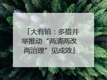 大有镇：多措并举推动“两清两改两治理”见成效