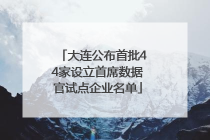大连公布首批44家设立首席数据官试点企业名单